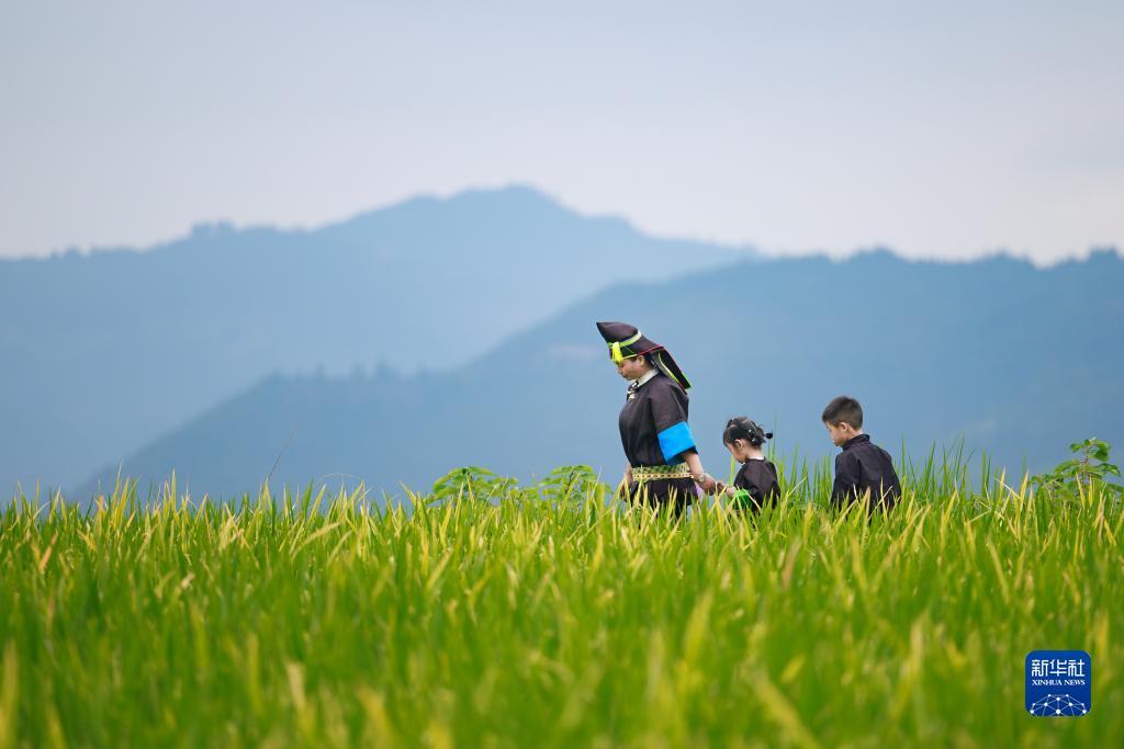 澳门银可老品牌