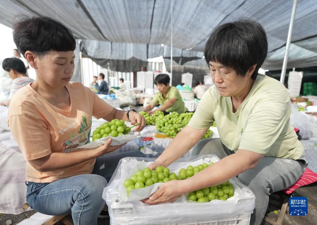 巴黎人投注网站
